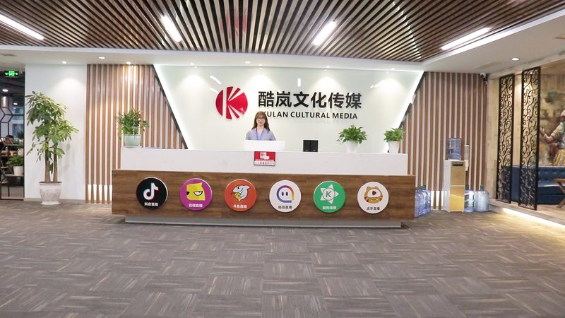 企业宣传片制作公司对比，揭秘行业“潜规则